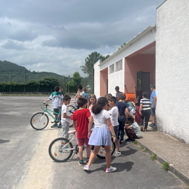 Promoção da atividade física 